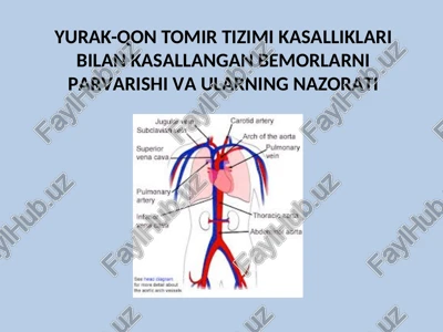 yurak – qon tomir tizimi kasalliklari bilanog'riganbemorlarni kuzatish va davolashni ikkiyo'nalishda o'tkaziladi — PPTX