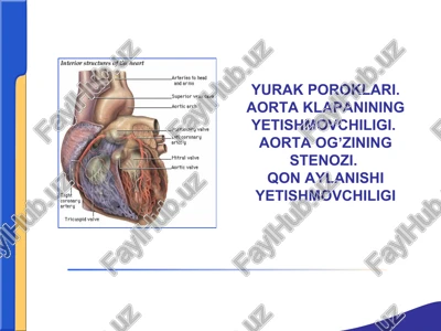 yurak poroklari.aortaklapanining yetishmovchiligi.aortaogʼziningstenozi.qonaylanishi yetishmovchiligi — PPTX