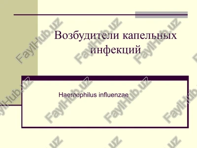 haemophilus influenzae — PPTX