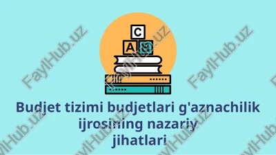 davlat budjeti g‘azna ijrosi — PPTX