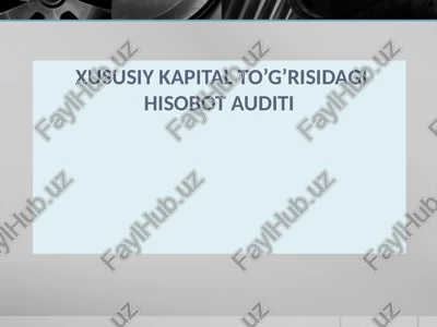 xususiy kapital to’g’risidagi hisobotauditi — PPTX