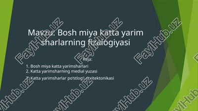 bosh miya katta yarim sharlarning fizalogiyasi — PPTX