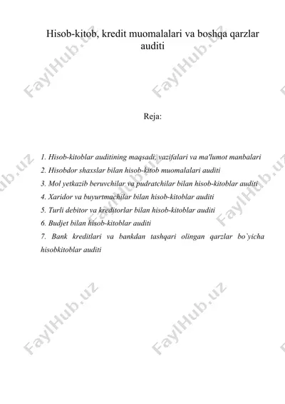 hisob-kitob, kredit muomalalari va boshqa qarzlar auditi — DOC