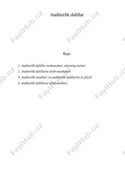 auditorlik dalillar — DOC