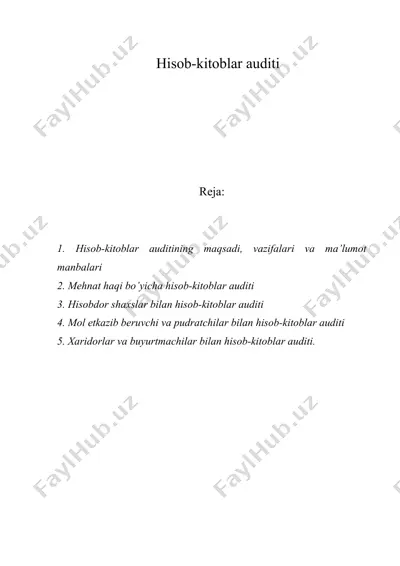 hisob-kitoblar auditi — DOC