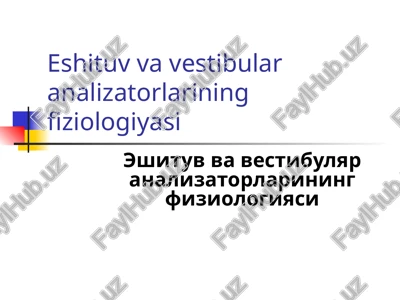 eshituv va vestibular analizatorlarining fiziologiyasi — PPTX