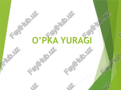 o’pka yuragi — PPTX