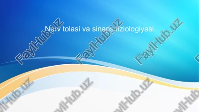 nerv tolasi va sinaps fiziologiyasi — PPTX