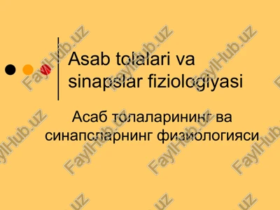 asab tolalari va sinapslar fiziologiyasi — PPTX