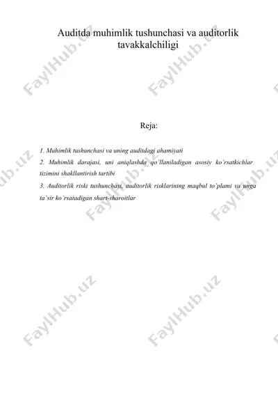 auditda muhimlik tushunchasi va auditorlik — DOC