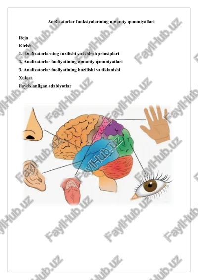 analizatorlar funksiyalarining umumiy qonuniyatlari — DOCX