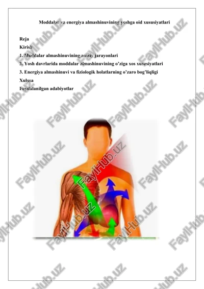 moddalar va energiya almashinuvining yoshga oid xususiyatlari — DOCX