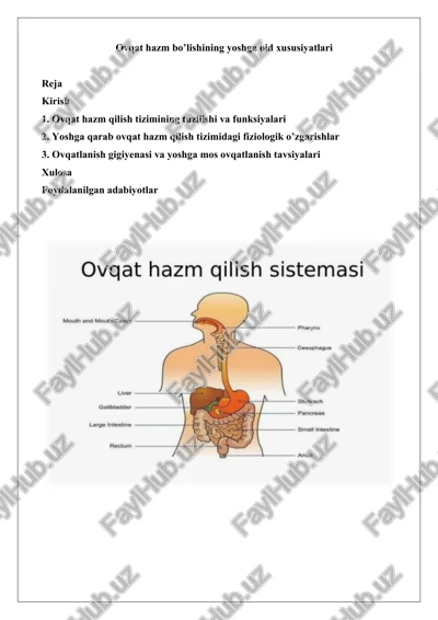 ovqat hazm bo’lishining yoshga oid xususiyatlari — DOCX