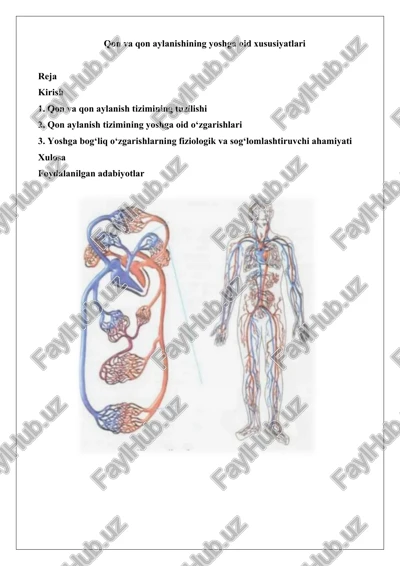 qon va qon aylanishining yoshga oid xususiyatlari — DOCX