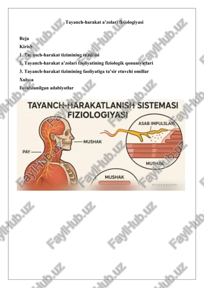 tayanch-harakat a’zolari fiziologiyasi — DOCX