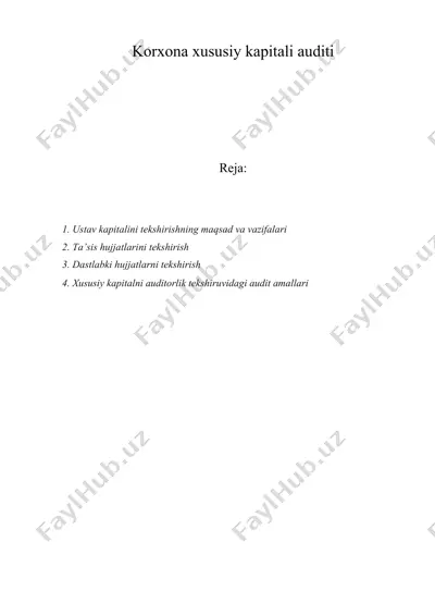korxona xususiy kapitali auditi — DOC