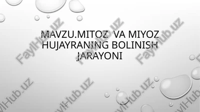 mitoz va miyoz — PPTX