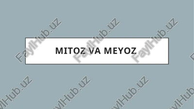 mitoz va meyoz — PPTX