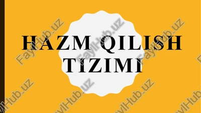 hazmqilishtizimi — PPTX