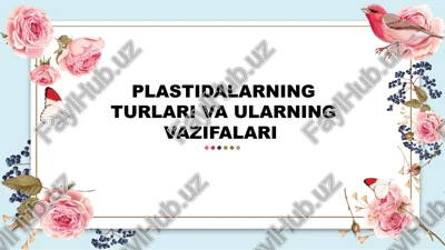 plastidalarning turlari va ularning vazifalari — PPTX