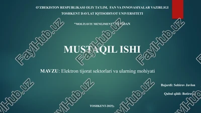 elektron tijoratning iqtisodiy va ijtimoiy ta'siri — PPTX