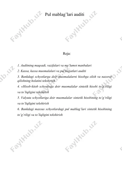 pul mablag’lari auditi — DOC