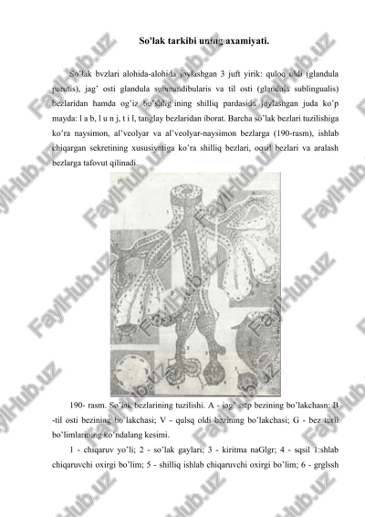 so’lak bezlar — DOCX