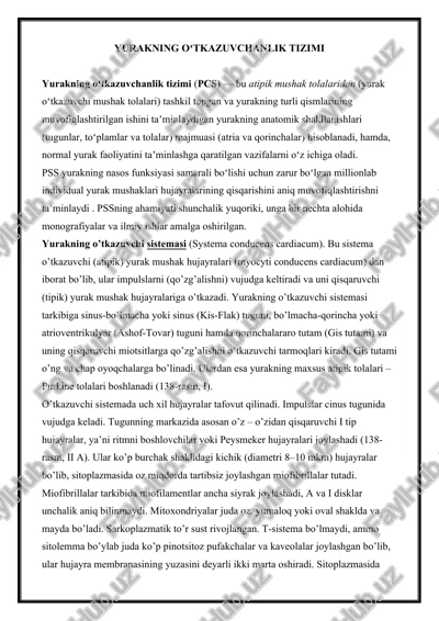 yurakning oʻtkazuvchanlik tizimi — DOCX