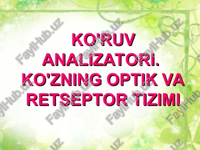 ko'ruv analizatori. ko'zning optik va retseptor tizimi — PPT