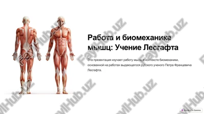 rabota i biomexanika mishts: uchenie lesgafta — PDF