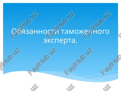 tamojenniy ekspert — PPTX