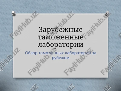 zarubejnie tamojennie laboratorii — PPTX