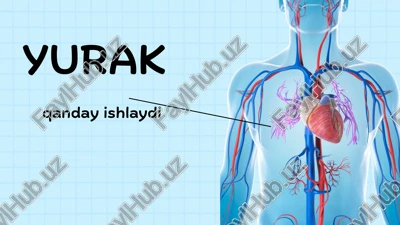 yurak — PPTX