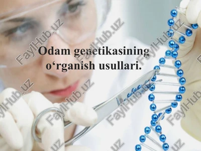 odamgenetikasi — PPTX