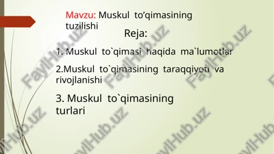 muskul to’qimasining tuzilishi — PPTX