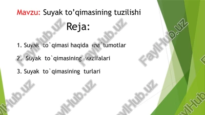 suyak to’qimasining tuzilishi — PPTX