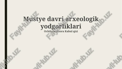 mustye davri arxeologik yodgorliklari — PPTX