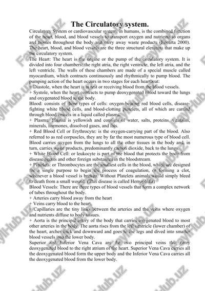 circulatory system — DOCX