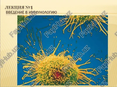 immunologiya — PPT