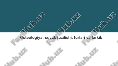 osteologiya — PPTX
