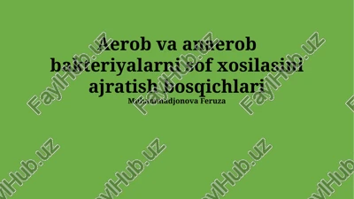 aerob va anaerob bakteriyalarni sof xosilasini ajratish bosqichlari — PPTX