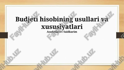 byudjet hisobi: afzalliklari va kamchiliklari — PPTX