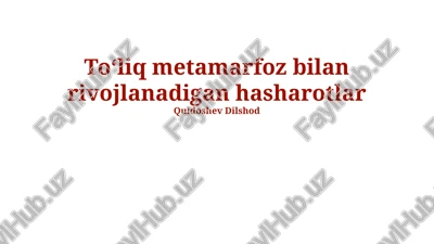 toʻliq metamorfoz bilan rivojlanadigan hasharotlar — PPTX