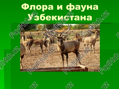 flora i fauna uzbekistana — PPTX