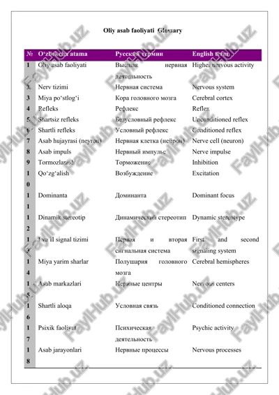 oliy asab faoliyati glossary — DOCX