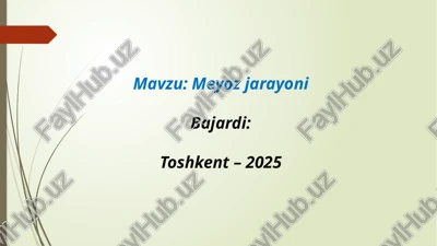 meyoz jarayoni — PPTX