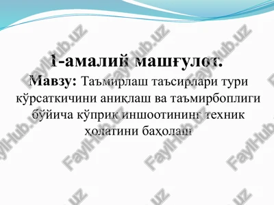ta'mirlash ta'sirlari turi ko'rsatkichi — PPTX