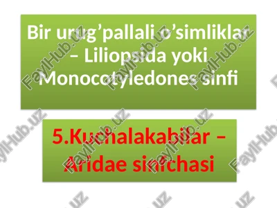 kuchalakabilar–aridaesinfchasi — PPTX
