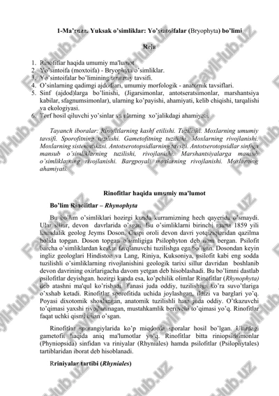 rinofitlar haqida umumiy ma'lumot — DOCX