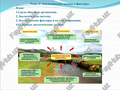 ekologiya — PPT